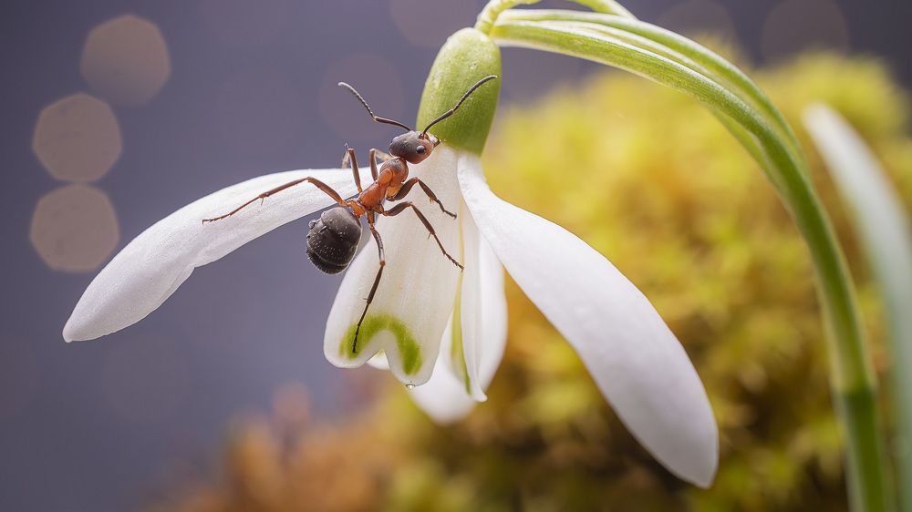 Photograph by Людмила Железнова