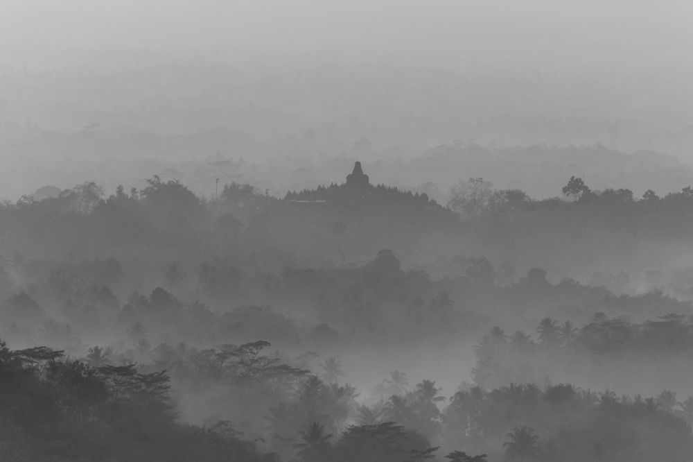 Photograph by Mujibur Rohman