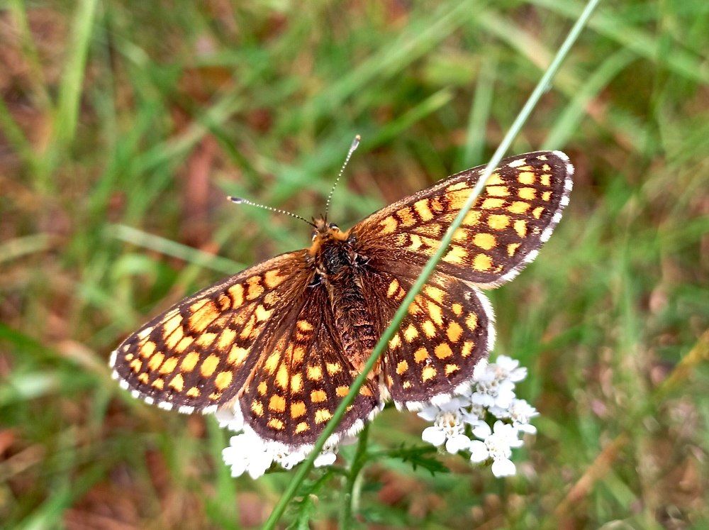 Photograph by леонид натапов