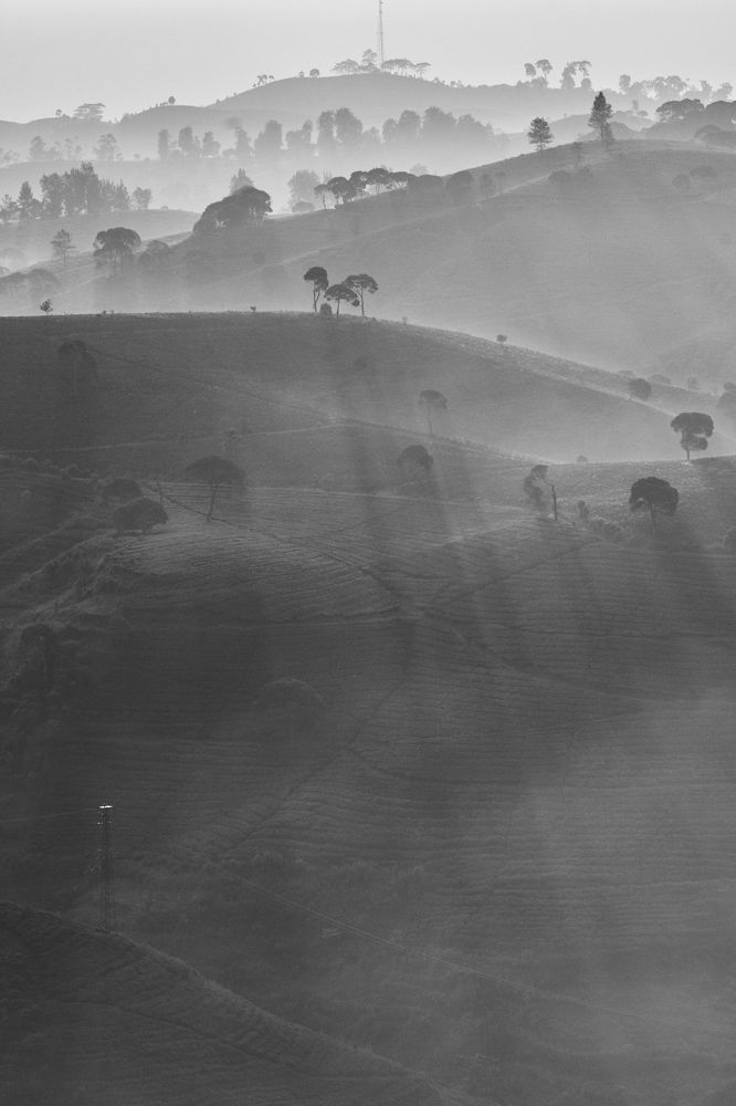 Photograph by Mujibur Rohman