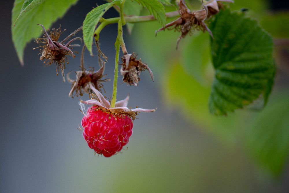 Photograph by Алексей Швецов
