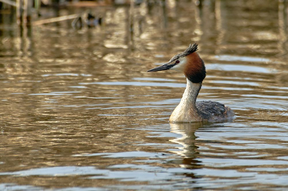 Photograph by Фатыхов Динар