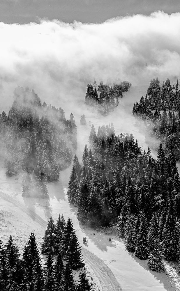 Photograph by Andrej Nihil