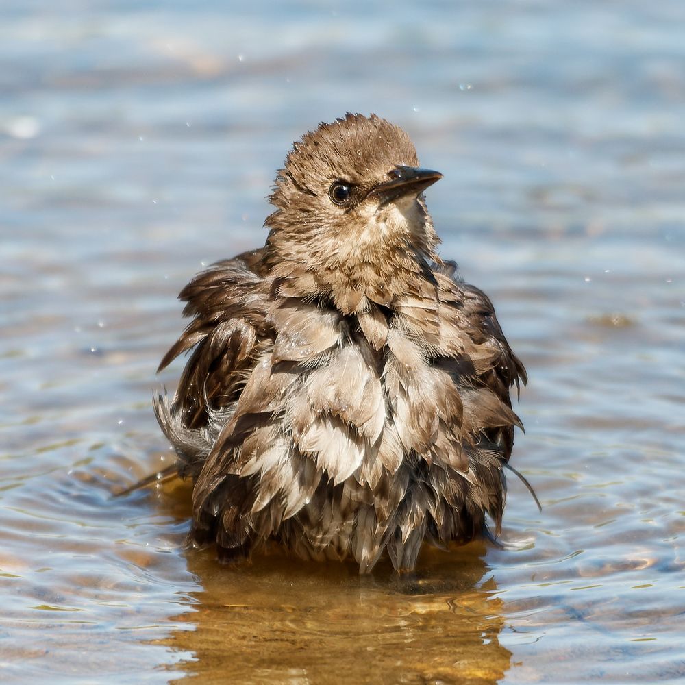 Photograph by Алексей Прокопенков