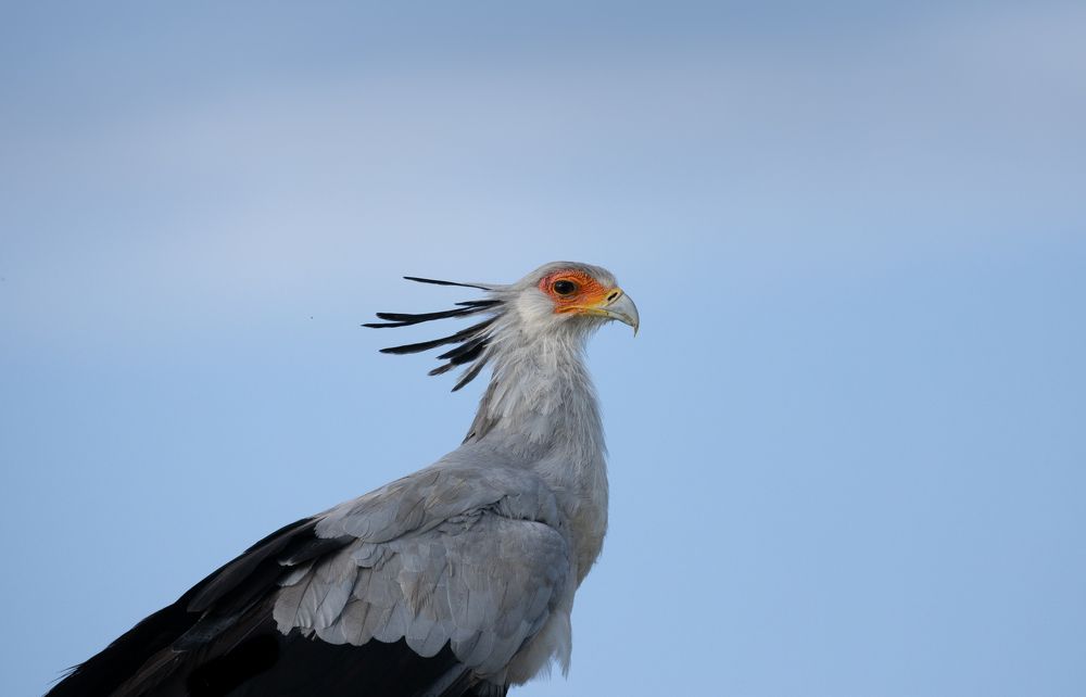 Photograph by Raquel Barao