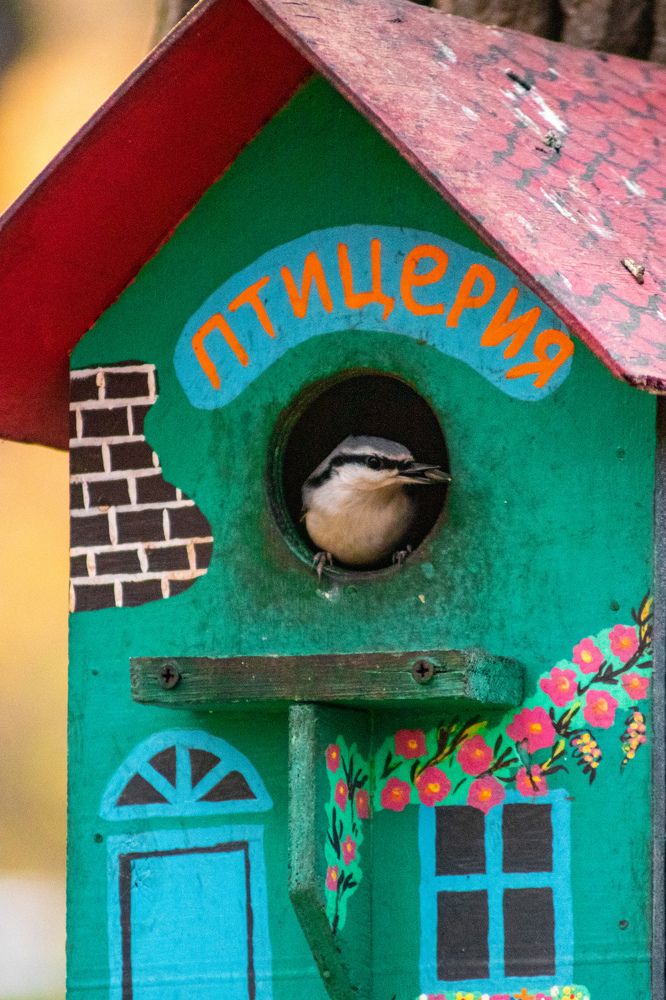 Photograph by Дамир Давронов