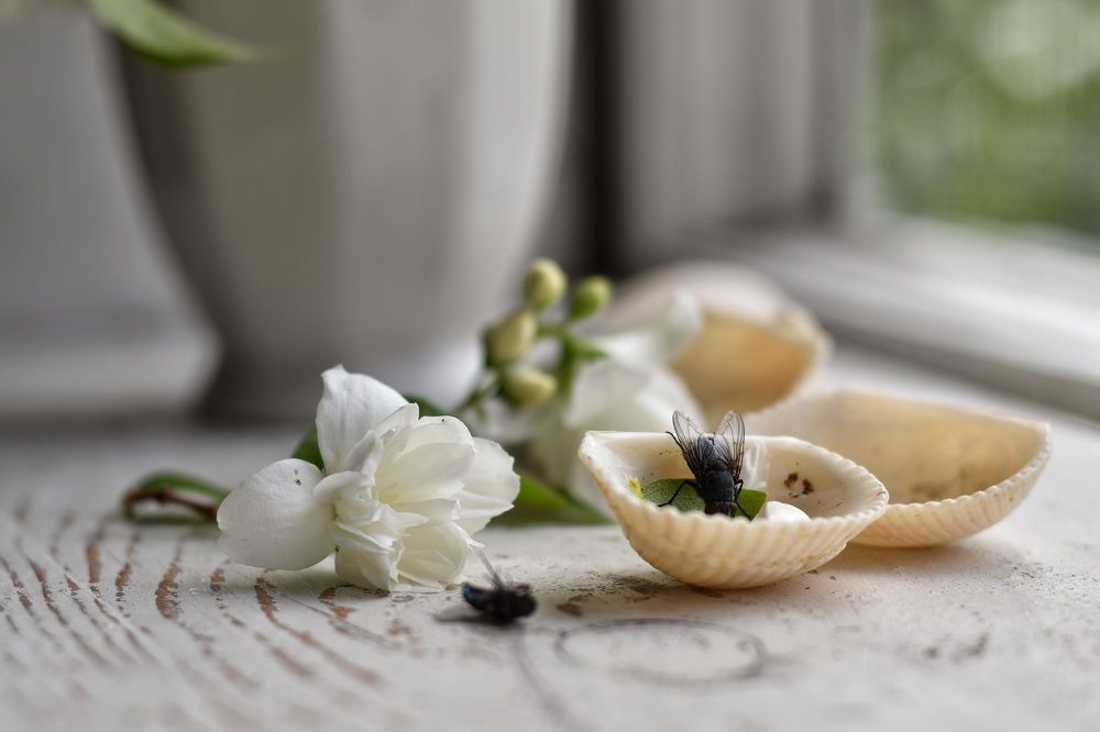 Photograph by Татьяна Юдина