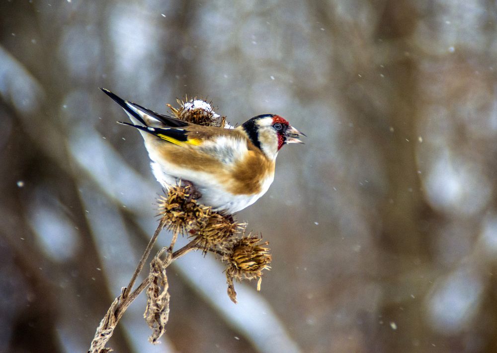 Photograph by Елена Чудиновских