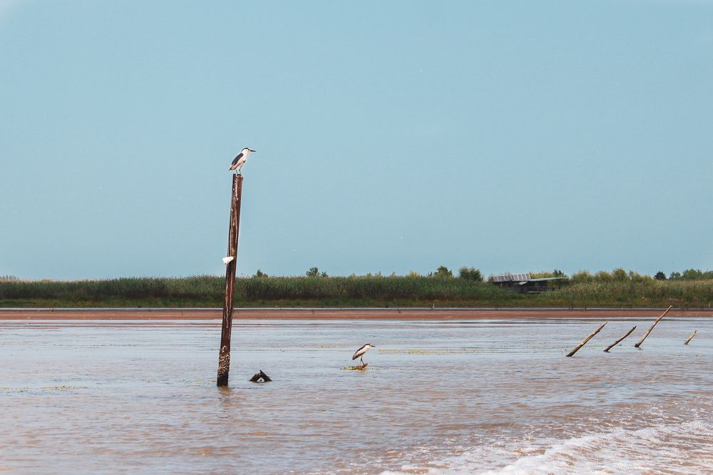 Photograph by Amin Jamei