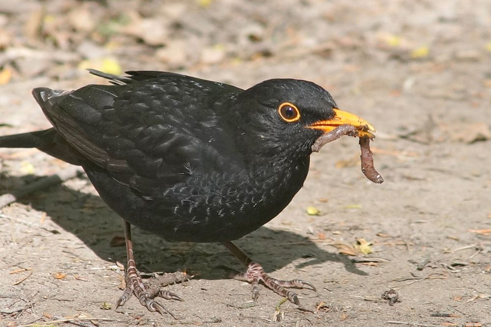 Photograph by Смирнов Алексей