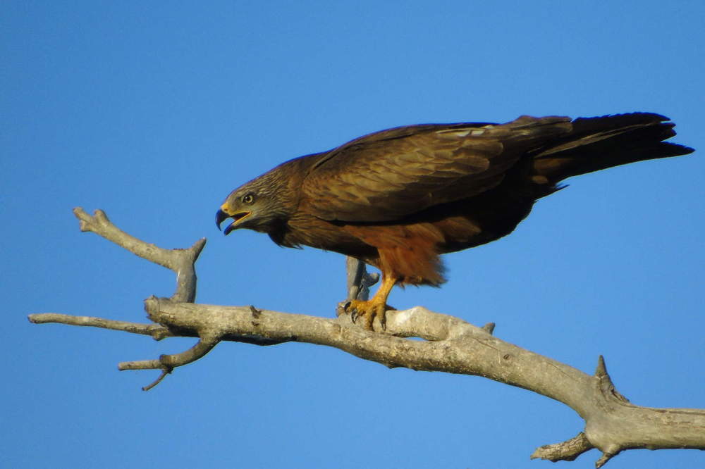 Photograph by Надежда Батракова