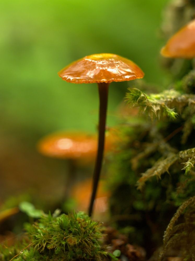 Соседи/neighborhood