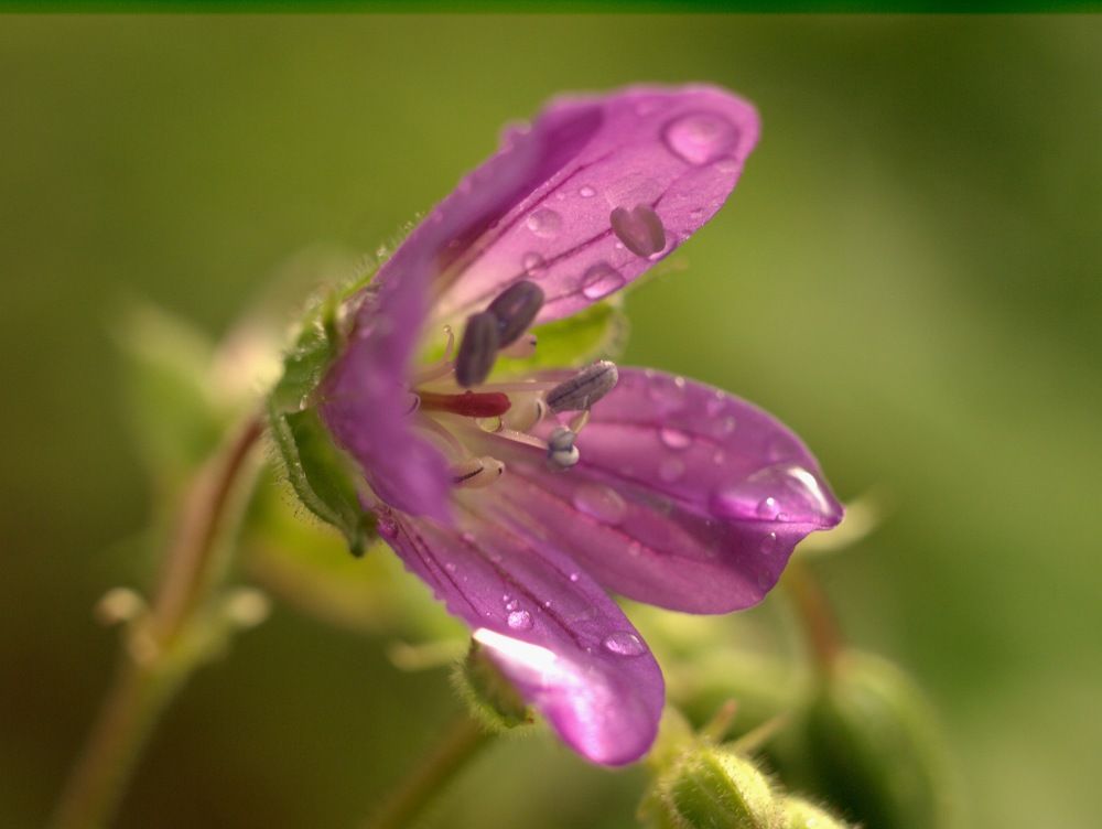 Photograph by Дмитрий Васючков