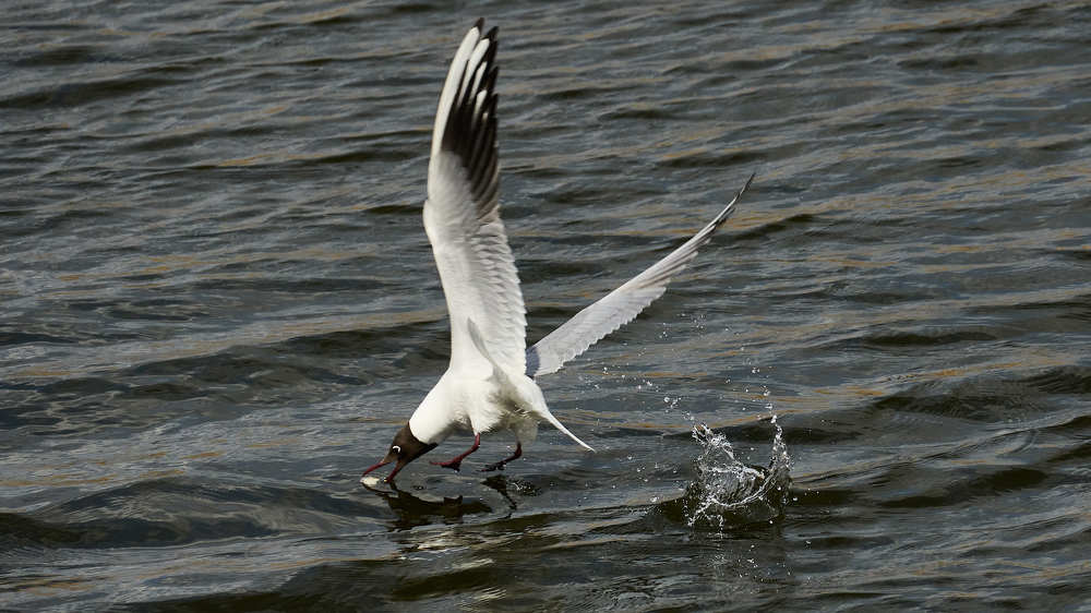 Photograph by Сергей Стукен