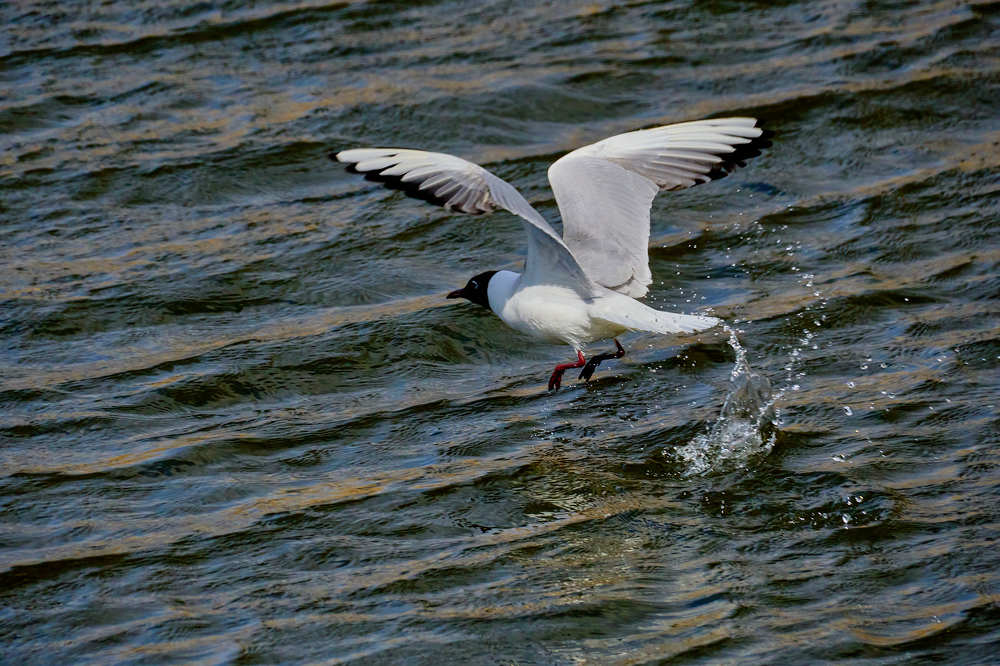 Photograph by Сергей Стукен