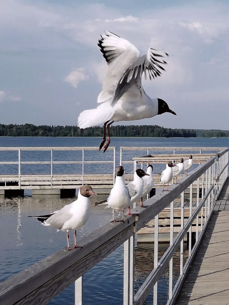 Photograph by Марцева Татьяна