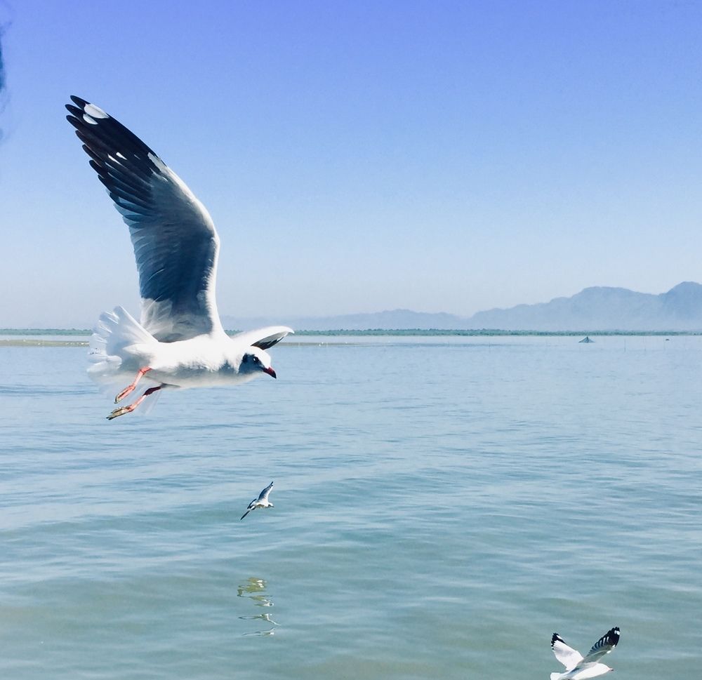 Photograph by Mehedi Hasan Srabon