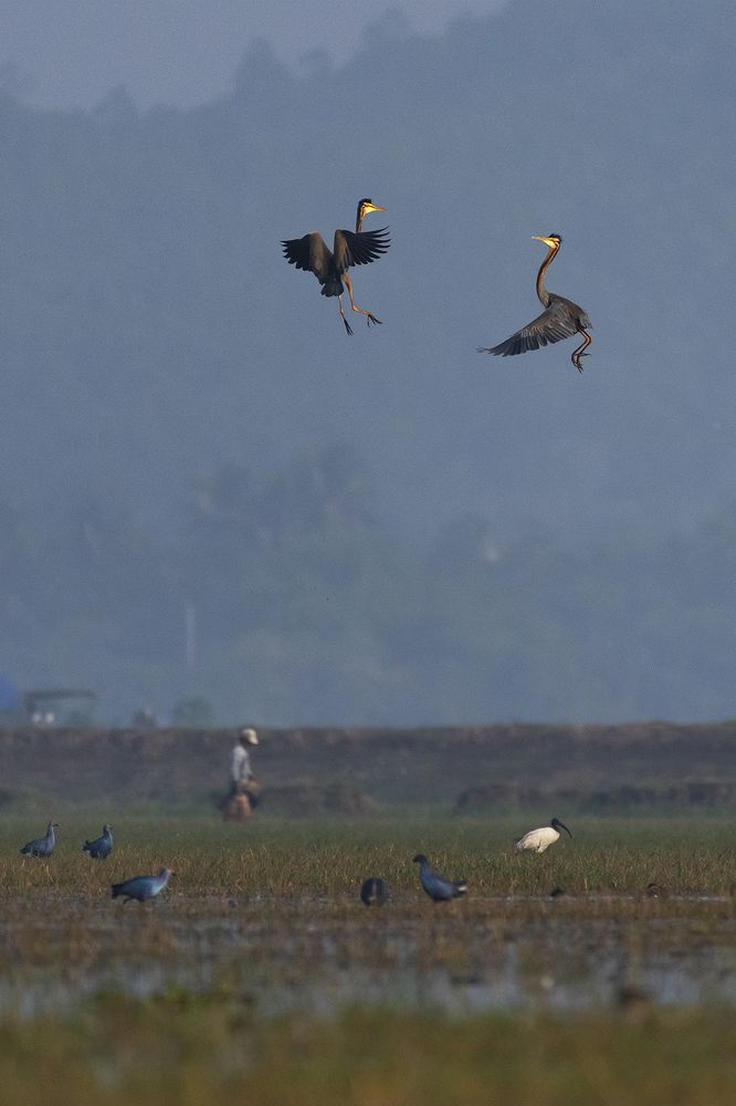Photograph by prabir kumar das