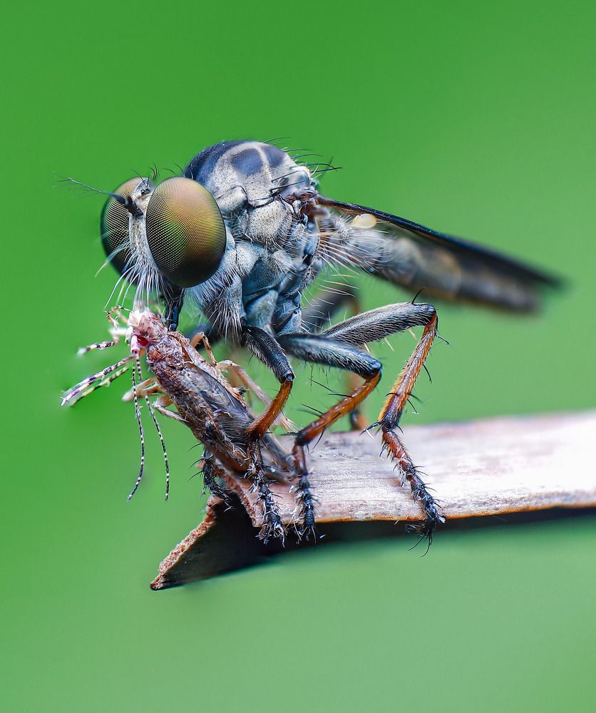 Photograph by Anh Nguyen