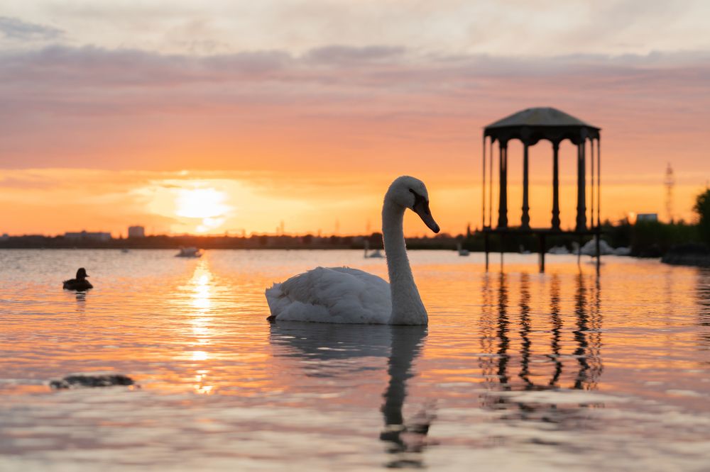 Красота вокруг