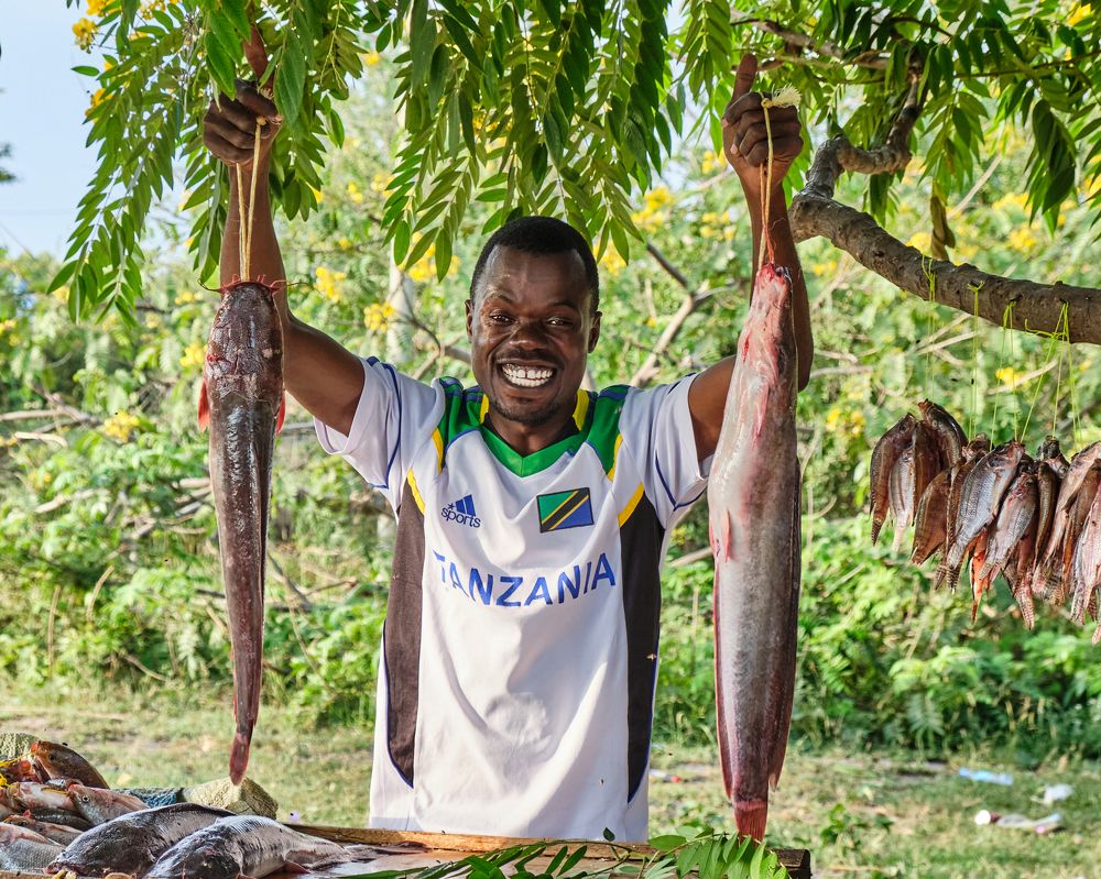 Фотография автора Ron Niv