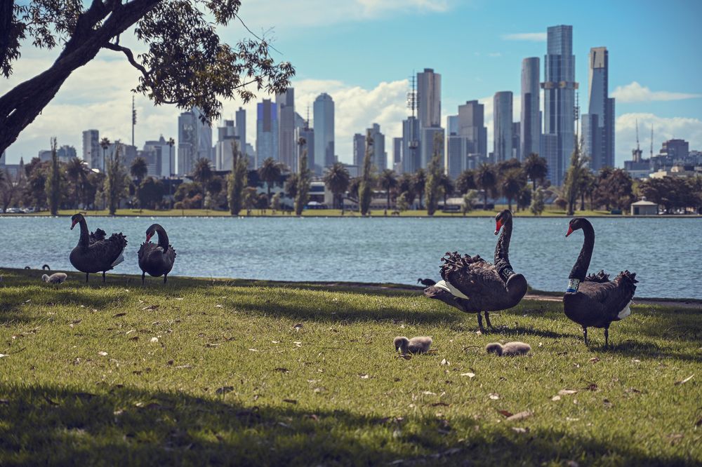 Photograph by Natalia