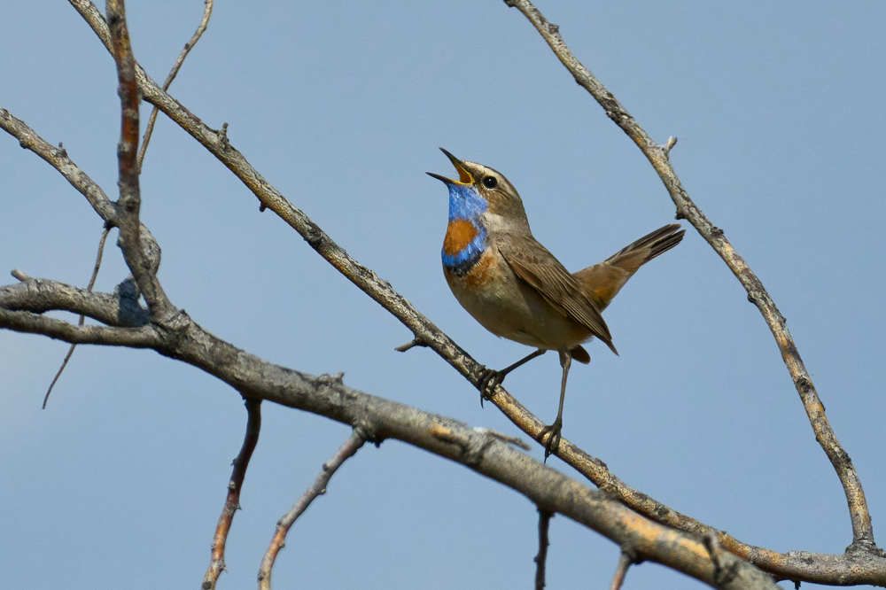 Photograph by Сергей Стукен