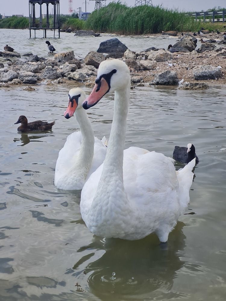 Photograph by Tatiana Denisova