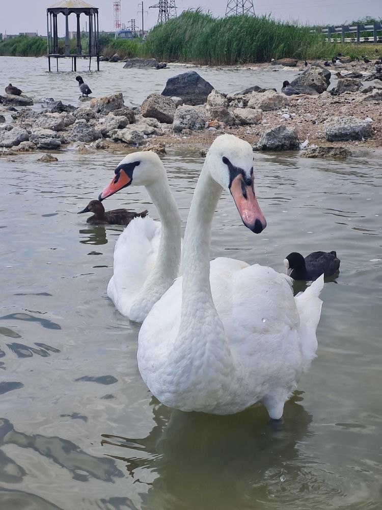 Photograph by Tatiana Denisova