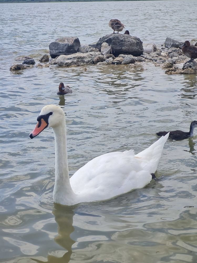 Photograph by Tatiana Denisova