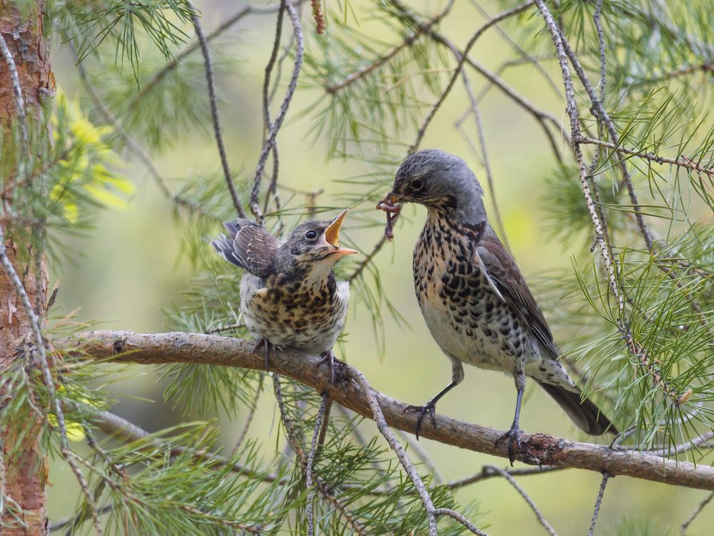 Photograph by Андрей Красников