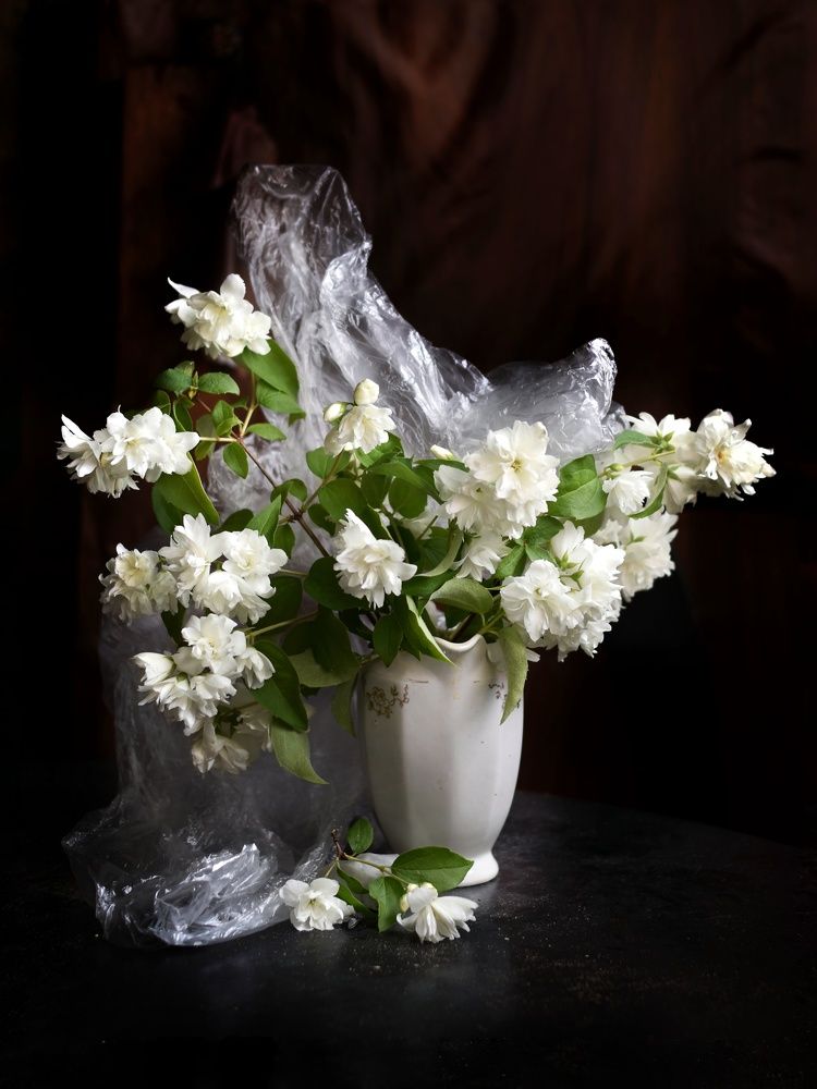 Photograph by Татьяна Юдина