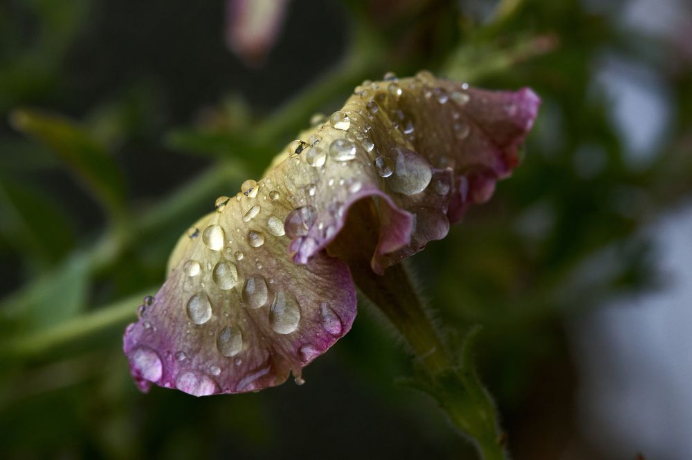 Фотография автора Игорь Игоревич