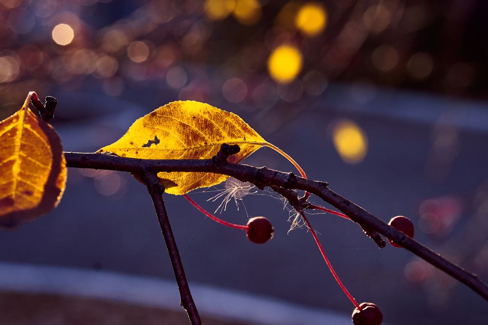 Фотография автора Игорь Игоревич