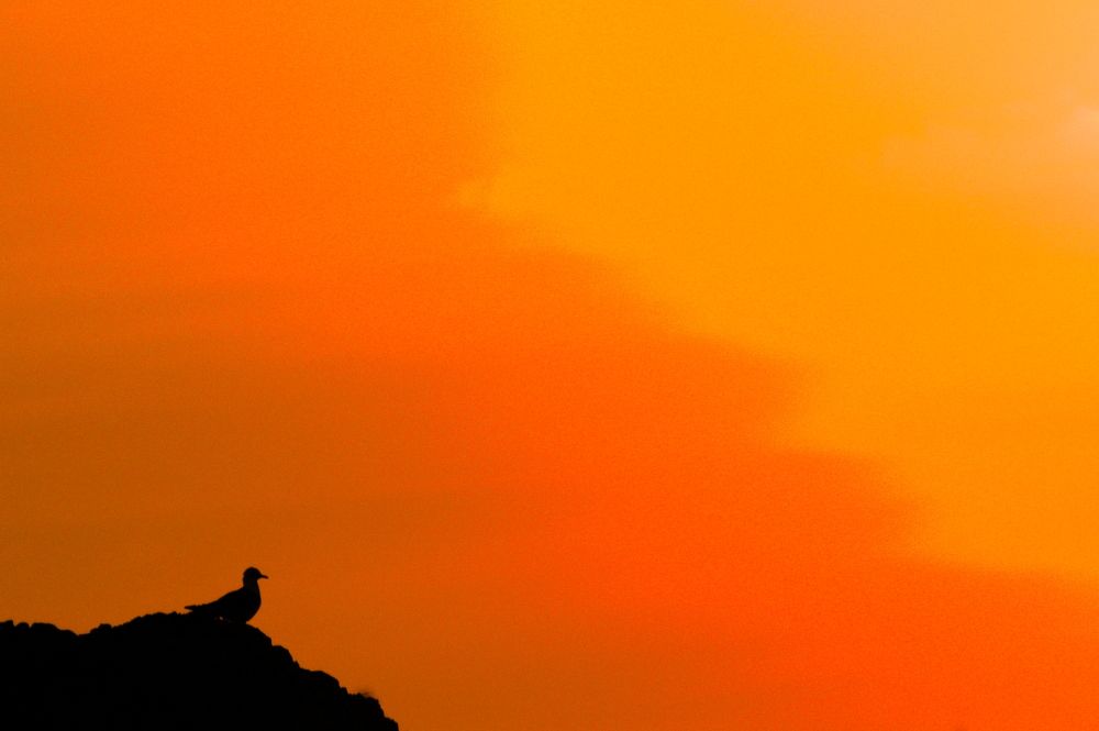 Photograph by Дмитрий Павлов