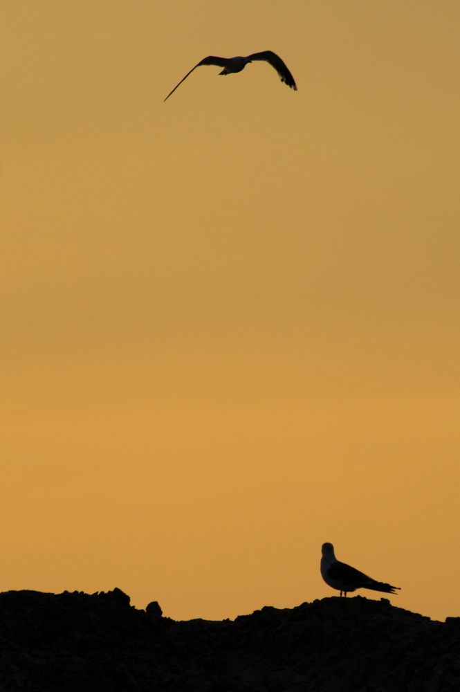 Photograph by Дмитрий Павлов