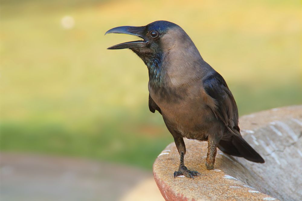 Photograph by Павел Колеснев