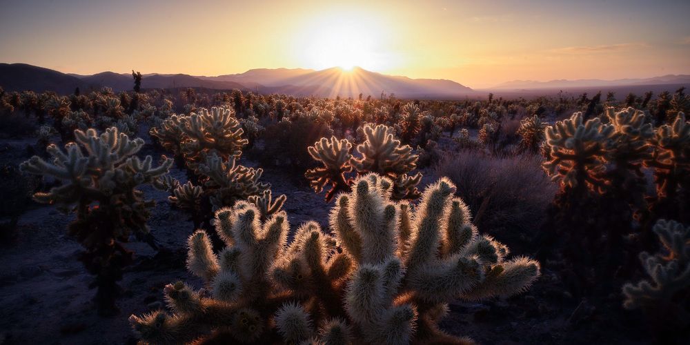 Photograph by Robert Welsted