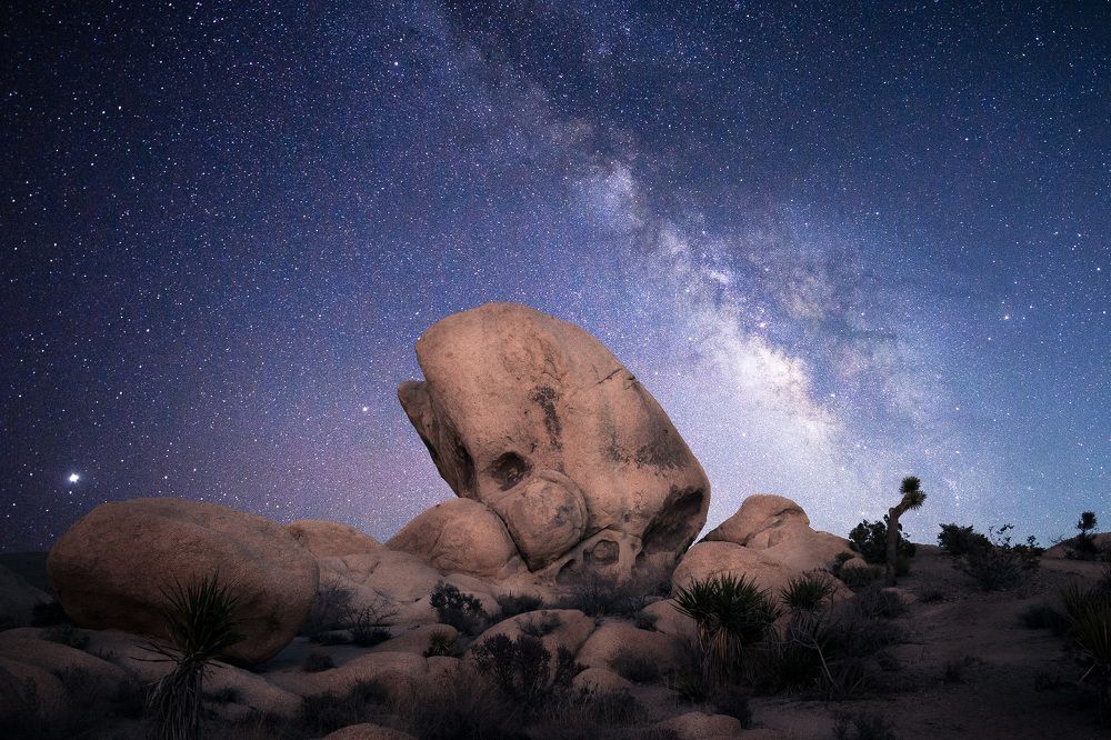 Фотография автора Robert Welsted