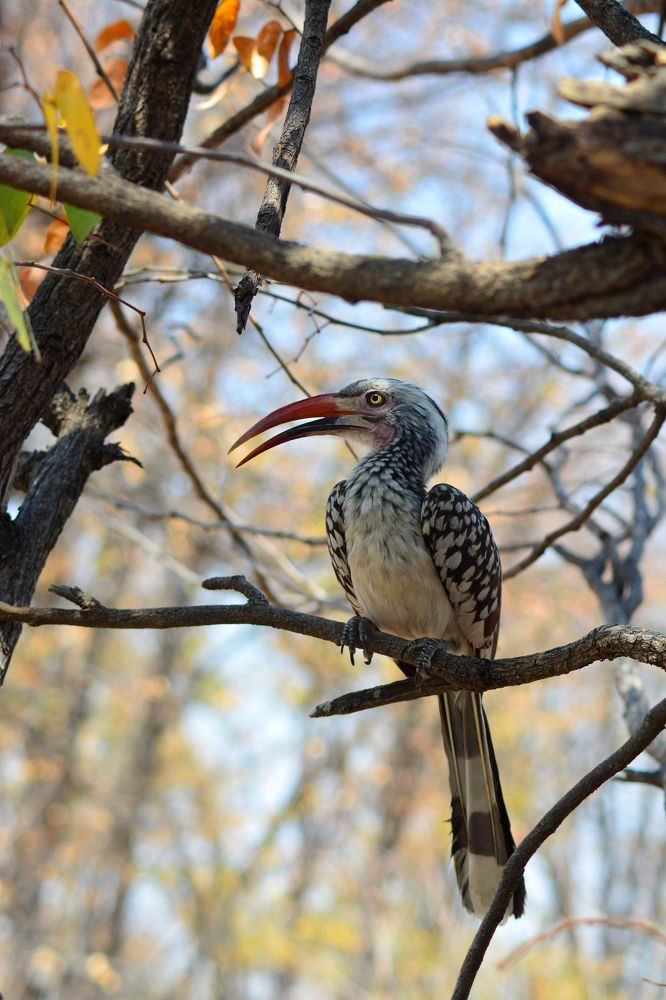 Photograph by Анатолий Орлов