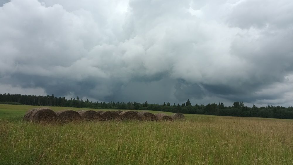 Перед грозой