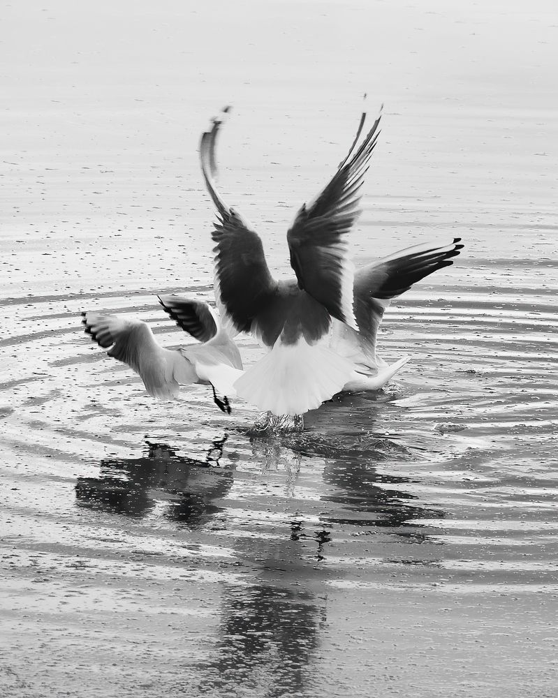 Photograph by Маргарита Смоленская