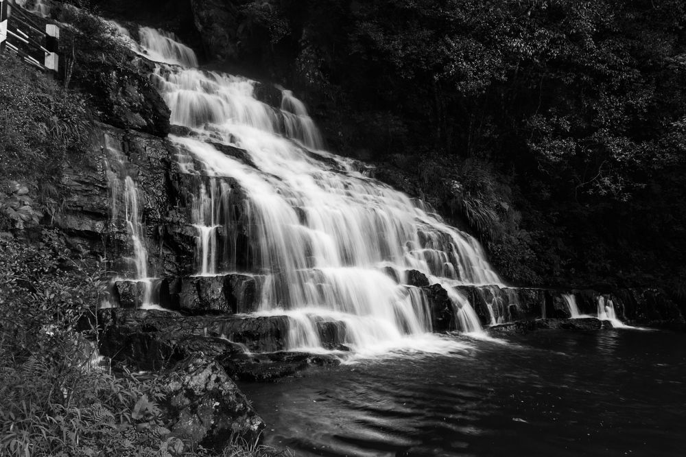 Фотография автора PRITAM DASBISWAS