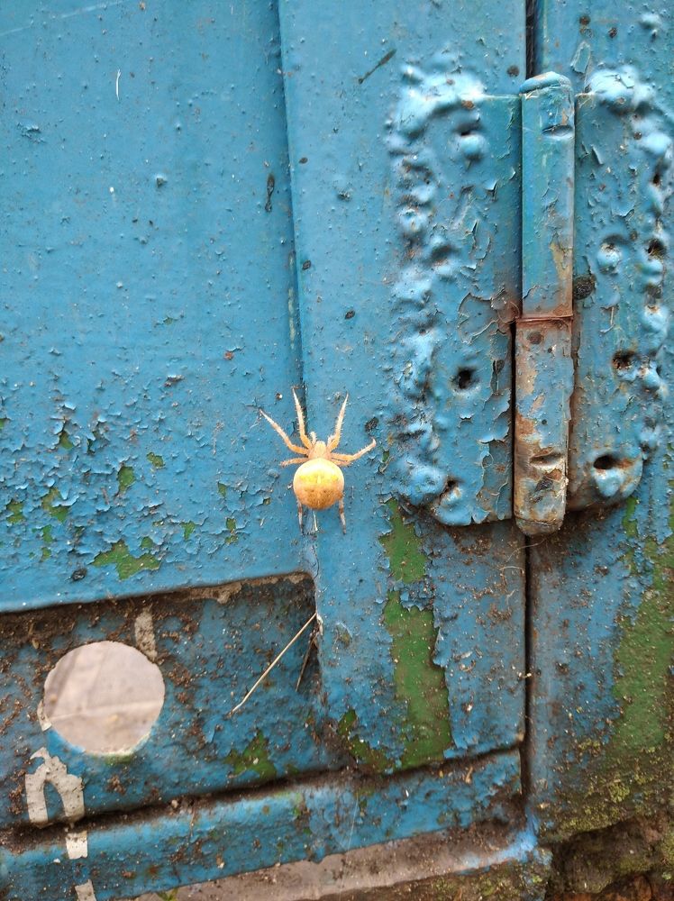 Photograph by Елена Коробченко