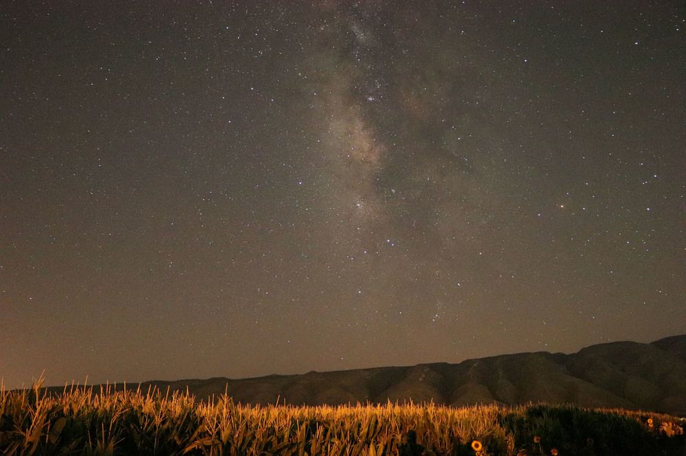 Photograph by Raesi Ayda