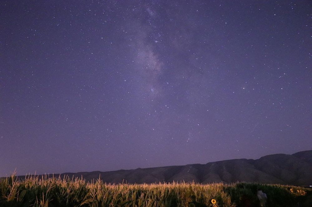 Photograph by Raesi Ayda