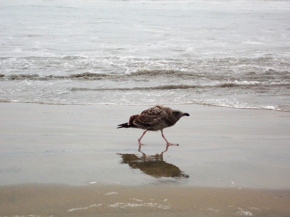 Photograph by José Luis Mendoza Machado