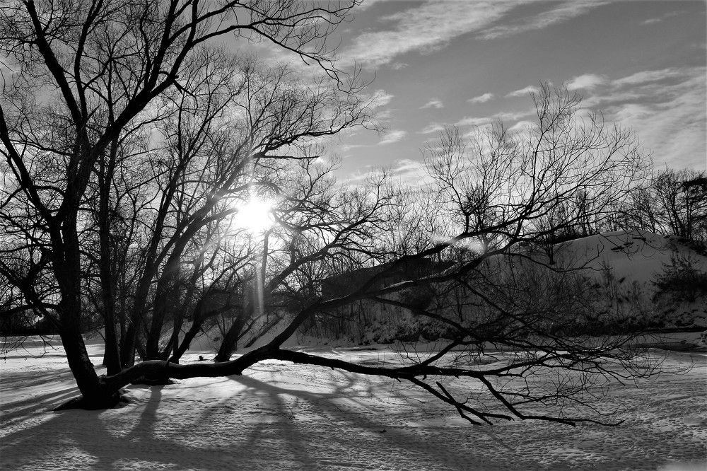 Photograph by Марина Игнатьева