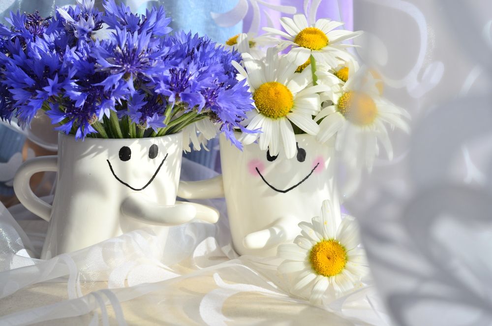 Photograph by Александрова Ольга