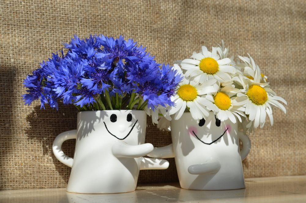 Photograph by Александрова Ольга